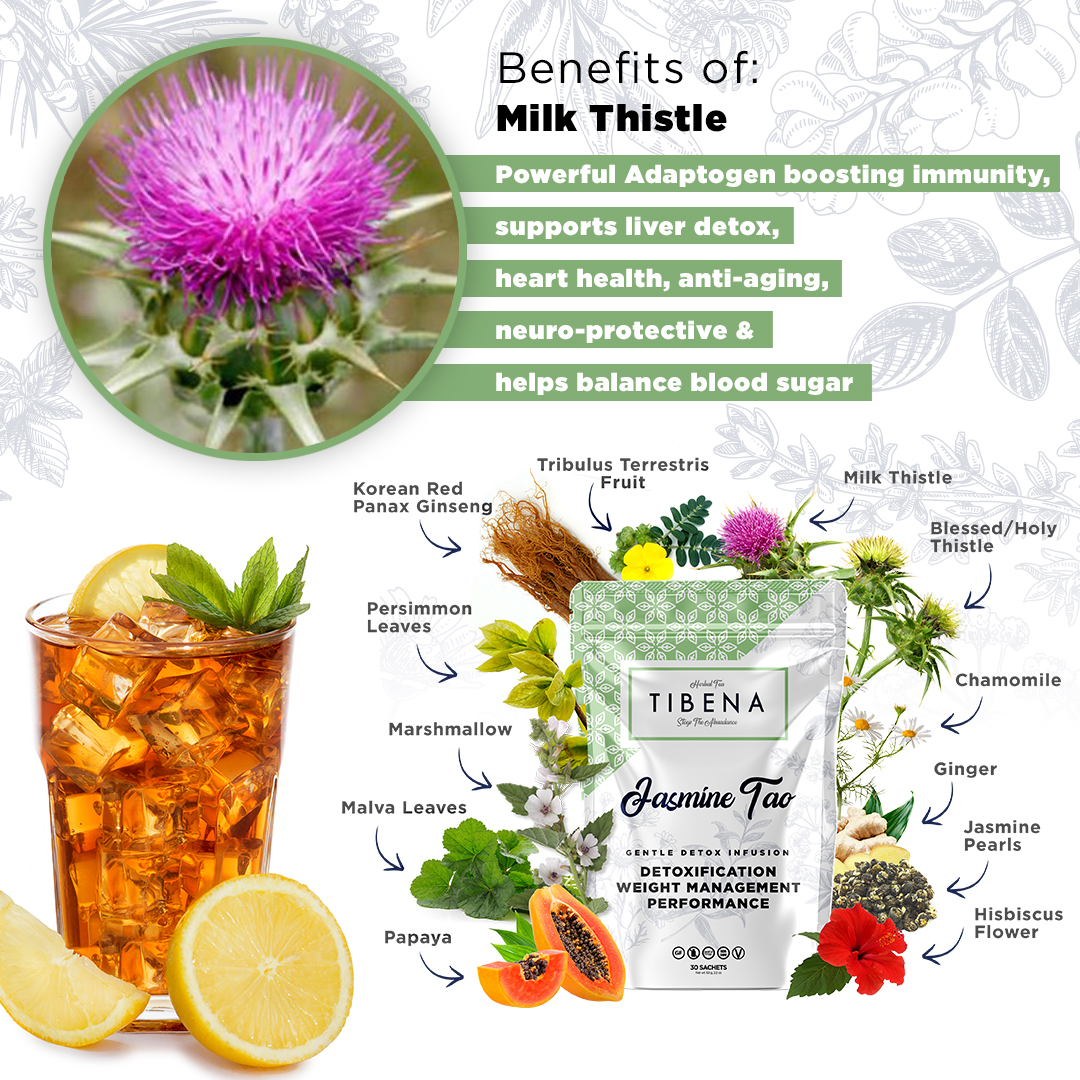 Milk Thistle Benefits